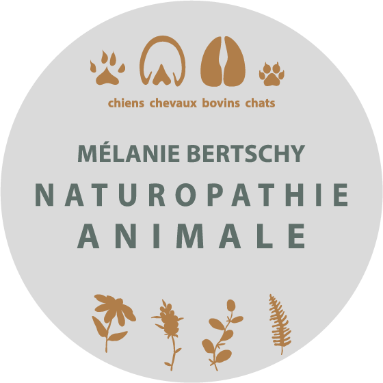 Mélanie Bertschy, Naturopathie Animale